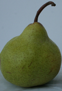 Pear - Bartlett Green ***